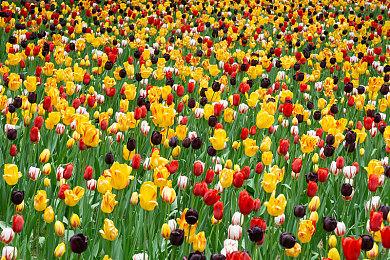 国产沙盒生存游戏《无径之林》发布新预告 2022年发售